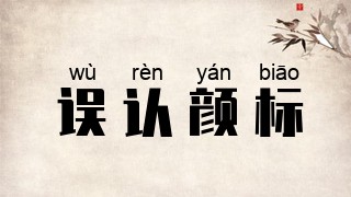 误认颜标