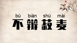 不辩菽麦