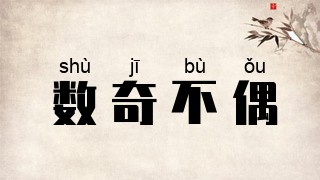 数奇不偶