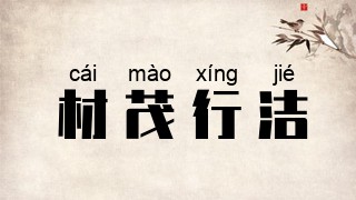 材茂行洁