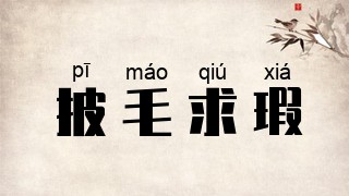 披毛求瑕