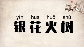 银花火树