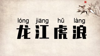 龙江虎浪