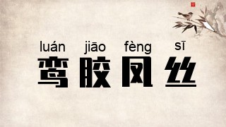 鸾胶凤丝