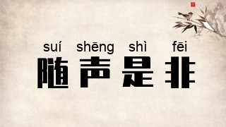 随声是非