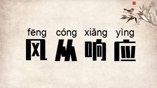 风从响应