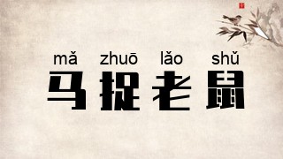 马捉老鼠