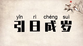 引日成岁