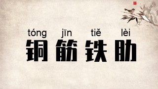 铜筋铁肋