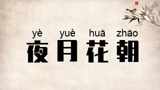 夜月花朝