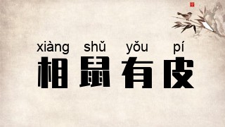 相鼠有皮