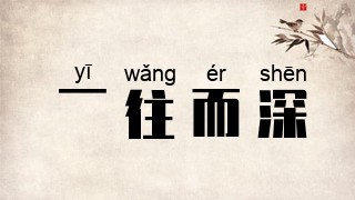 一往而深