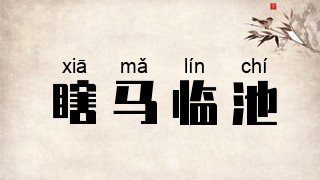 瞎马临池
