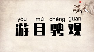 游目骋观