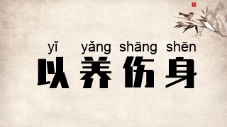以养伤身