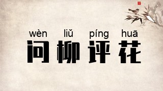 问柳评花