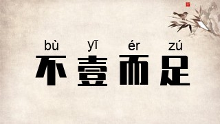 不壹而足