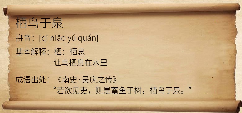 栖鸟于泉