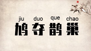 鸠夺鹊巢