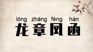 龙章凤函