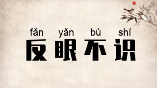 反眼不识