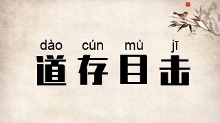 道存目击