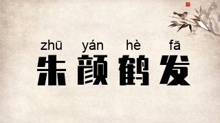 朱颜鹤发