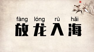 放龙入海