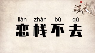 恋栈不去