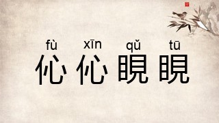 伈伈睍睍