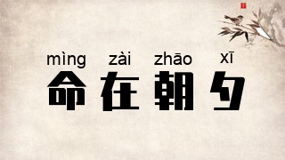 命在朝夕