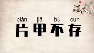 片甲不存