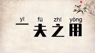 一夫之用