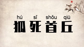 狐死首丘
