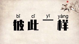 彼此一样