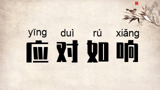 应对如响