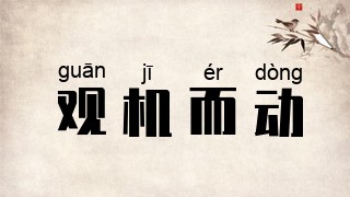 观机而动