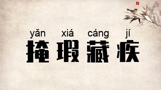 掩瑕藏疾