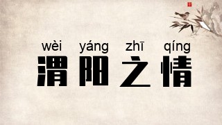 渭阳之情