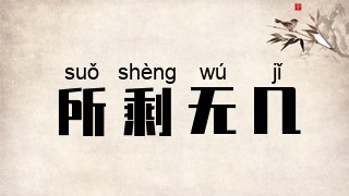 所剩无几