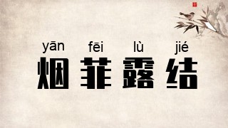 烟菲露结