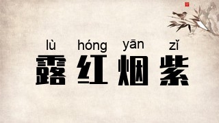 露红烟紫