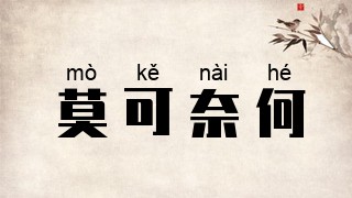 莫可奈何