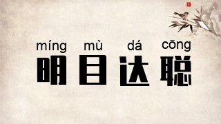 明目达聪