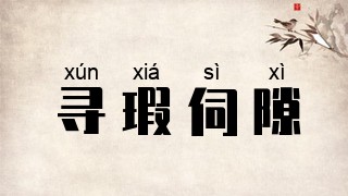 寻瑕伺隙
