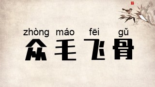 众毛飞骨