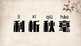 利析秋毫