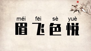 眉飞色悦
