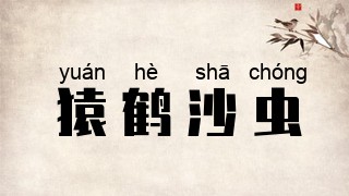 猿鹤沙虫