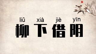 柳下借阴